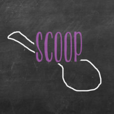 scoop-greek-yogurt scoop-greek-yogurt