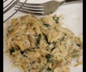 chicken, spinach, orzo, veggie dip, mix, blend, spice, unique, recipe, greek yogurt, minnesota, cozy, meal, dinner, easy