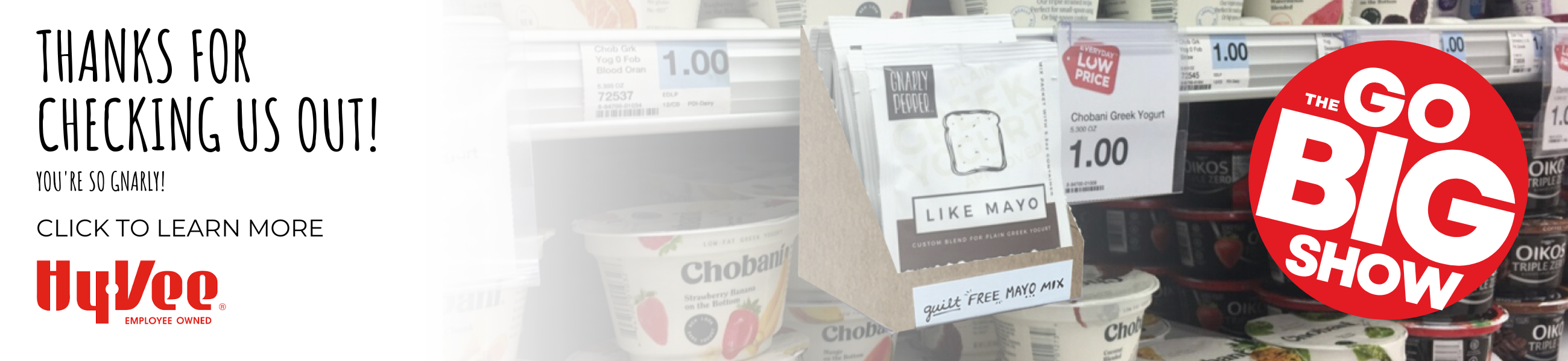 hyvee hy vee, the go big show, gnarly pepper, spice blend company, iowa, midwest, like mayo, veggie dip, onion dip, greek yogurt, plain, dairy, healthier option, sara, pouch, tear packet